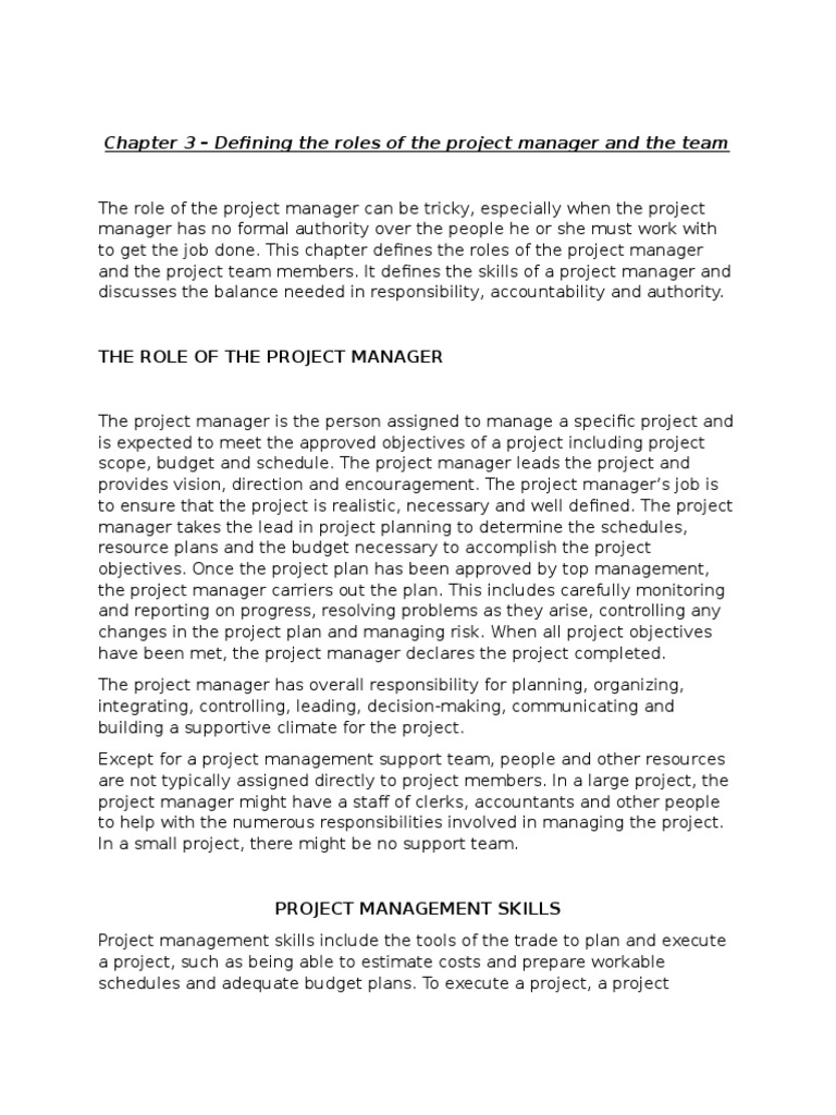 Project Manager and Team Roles Explained | PDF | Project Manager ...