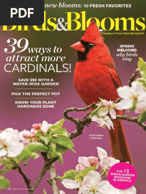 Birds and Bloom
