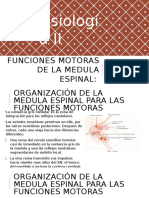 Funciones Motoras de La Medula Espinal