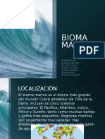 Bioma Marino