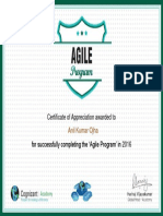 Agile Program