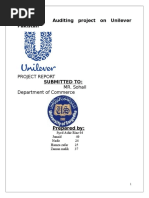 Audit Unilever