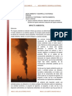 Impacto Ambiental Lectura 2009 PDF