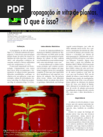 Propagação In Vitro de Plantas