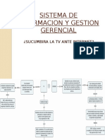 Sistema de Informacion y Gestion Gerencial