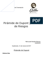 Dupont y Matriz de Riesgo