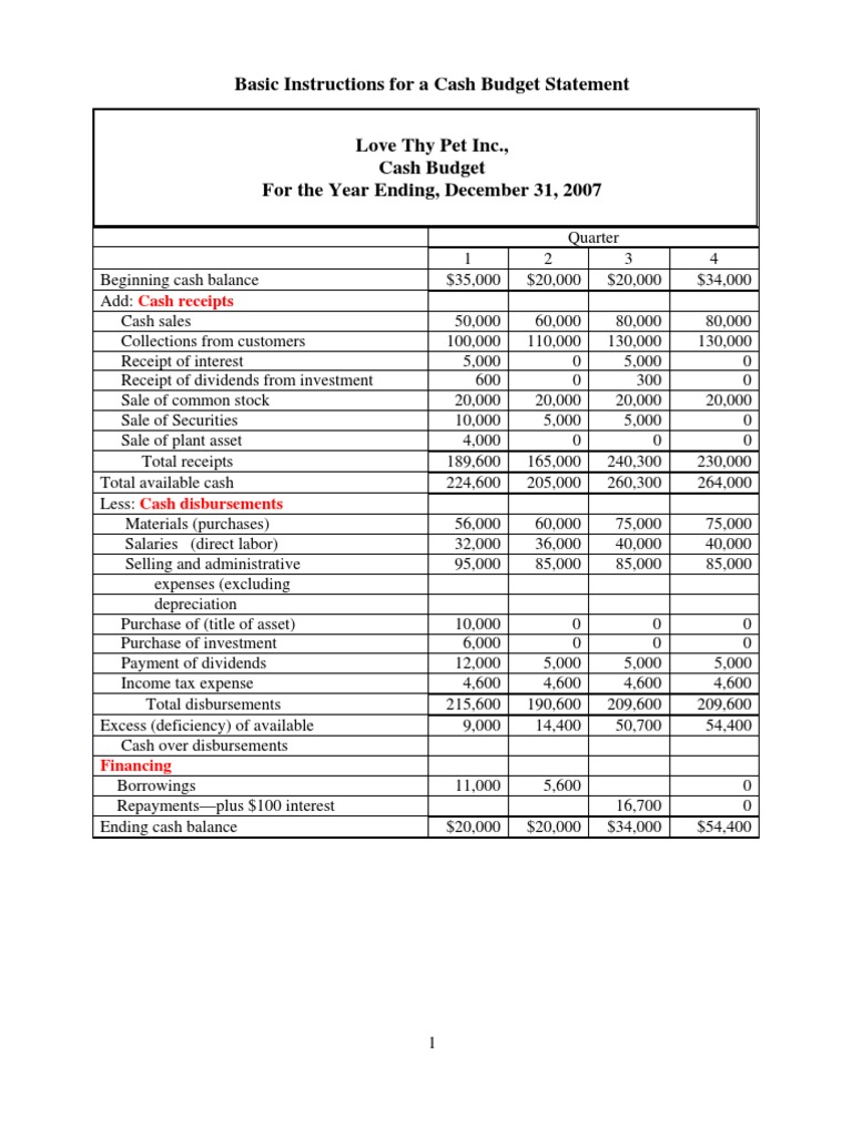 Cash Budget Statement Instructions | PDF | Expense | Dividend