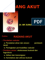 Radang Akut