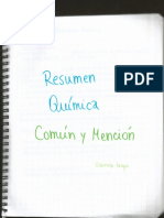 Química Común y Mención