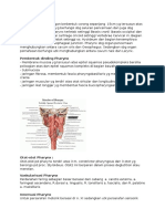 Anatomi dan pembagian pharynx