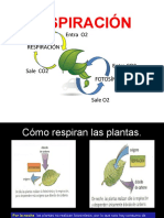 RESPIRACIÓN