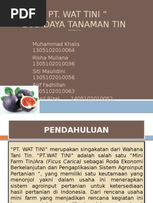 Tanaman Tin Pdf