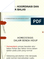 Download Bab 3 Koordinasi Dan Gerak Balas by NajwaAbdullah SN345461858 doc pdf