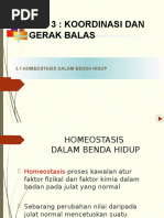 Download Bab 3 Koordinasi Dan Gerak Balas by NajwaAbdullah SN345461858 doc pdf