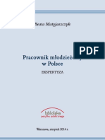 Ekspertyza Pracownik Mlodzieżowy w Polsce