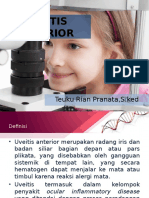 uveitis ant.pptx