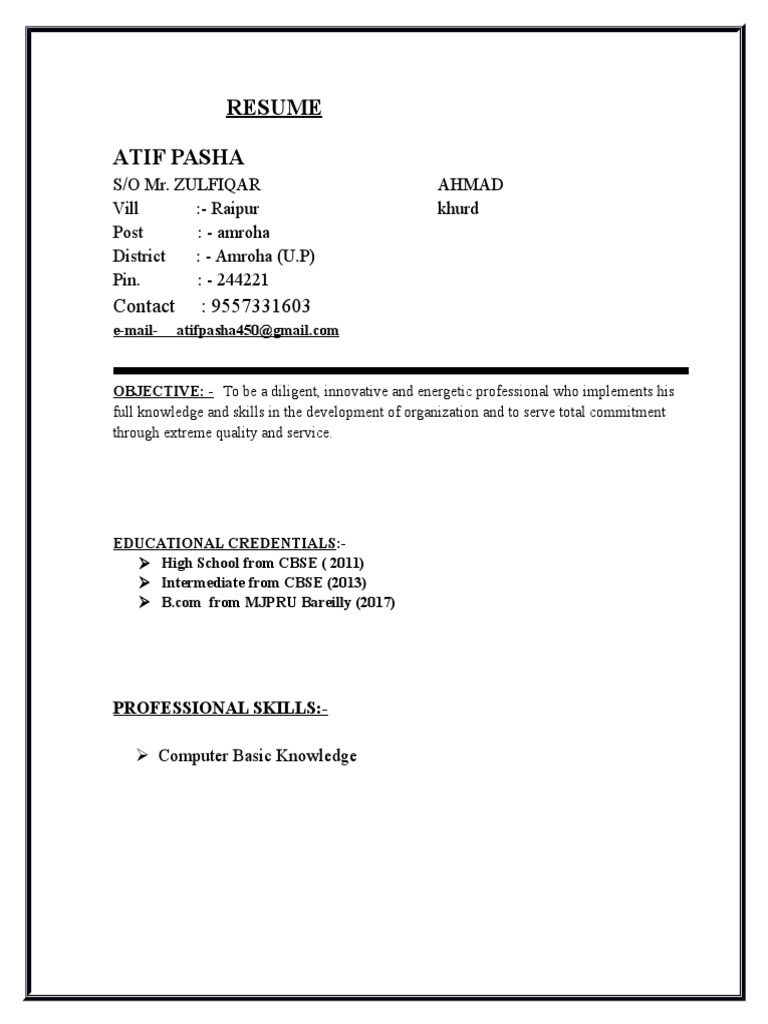 Atif Pasha's Professional Resume | PDF