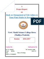 Study On Management of Fish Culture in Some Water Bodies in Rewa City