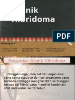 Teknik Hibridoma edit.pptx