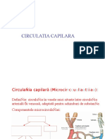 C10 Circulatia Capilara