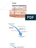 Pathophysiology of Dermatitis Atopic