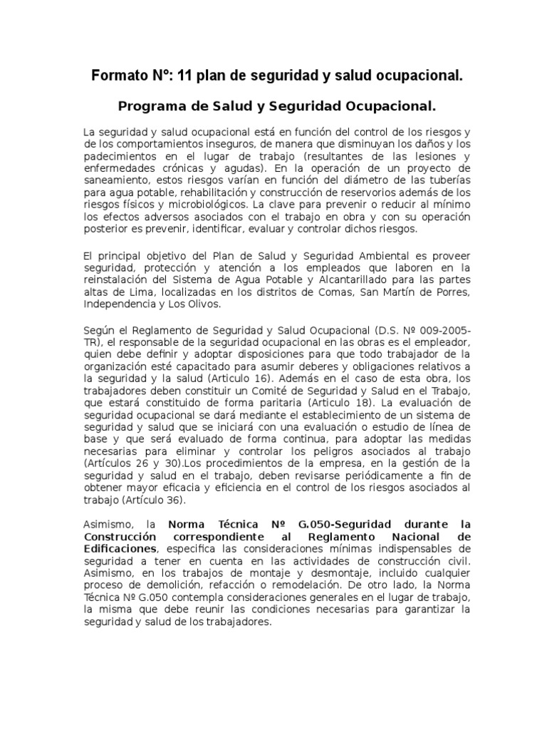Plan de Salud y Seguridad Ocupacional | PDF | Aluminio | La seguridad