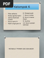 Download Metabolit Primer Dan Sekunder by nurulmutia SN345494931 doc pdf