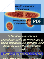 Diferenciación de Células PDF