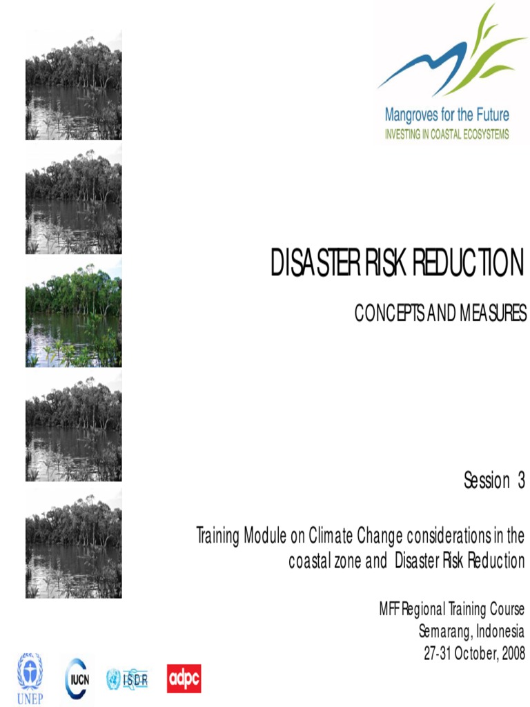 Disaster Risk Reduction: Concepts and Measures | PDF | Disaster Risk ...