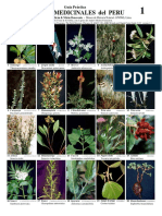123_Medicinal_Plants-Peru_1.pdf