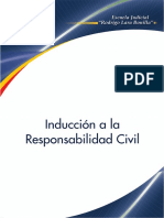 introducción a la responsabilidad civil.pdf