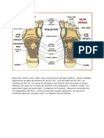 ACUPUNCTURA PLANSA