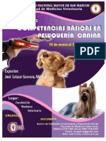 Resumen Final Peluqueria PDF