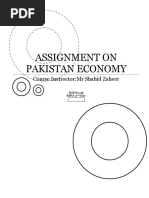Download Assignment on Pakistan Economy by Sabeen khalidi SN34552468 doc pdf
