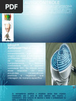 Auto Control e