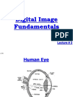 2 - Digital Image Fundamentals