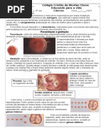 O Desenvolvimento Humano