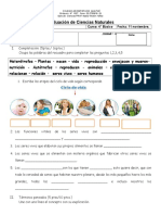 Prueba 4° Basico Seres Vivos