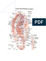 Cartografia de Auriculoterapia