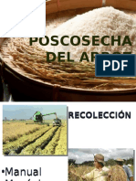 Procesamiento arroz poscosecha