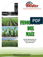Fenologia-Del-Maiz ATIDER.pdf