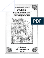 Nicodim Mandita - Calea sufletelor in vesnicie. 24 de vami ale vazduhului (2).pdf