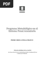 Programa Metodológico