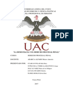 La Democracia Derecho Procesal Penal FINAL