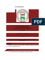 Cromatografia Aminoacidos