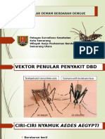 Nyamuk Aedes
