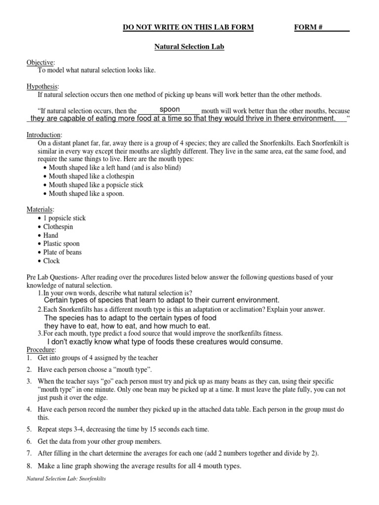 natural selection lab Natural Selection Cognition