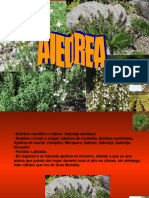 AJEDREA