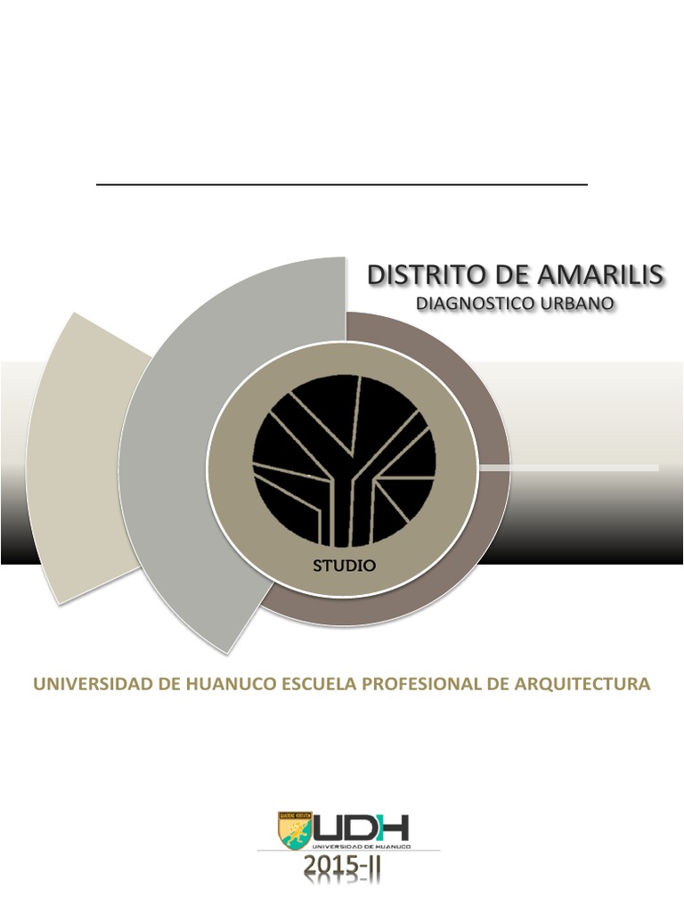 Documento Diagnostico Amarilis Grupo 1 PDF | PDF | Transporte | Residuos, image size:768x1024