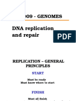 2 Replication Repair